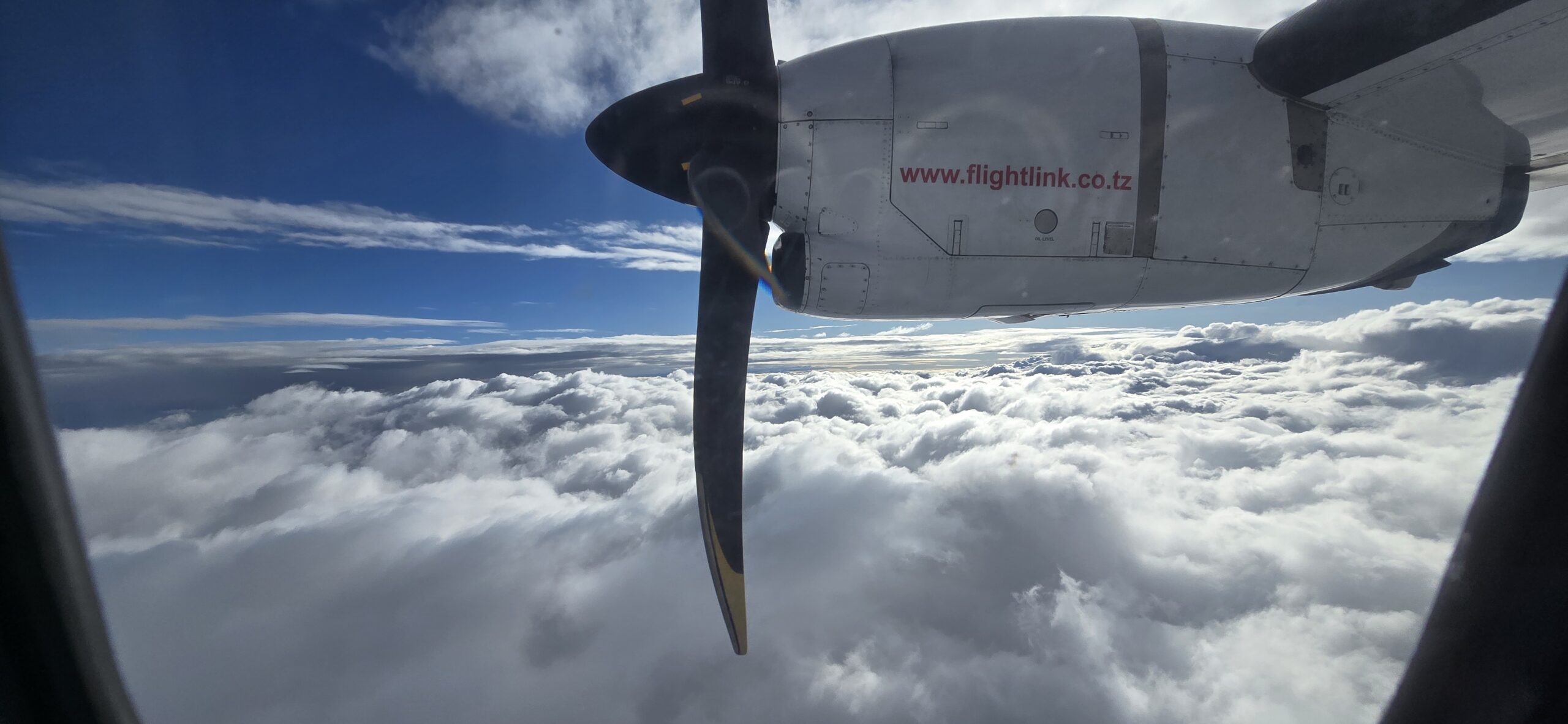 Airplane blade